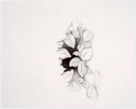Untitled, graphite on paper, 16 x 20", 1997