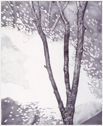Untitled, graphite on paper, 22 x 18", 1999
